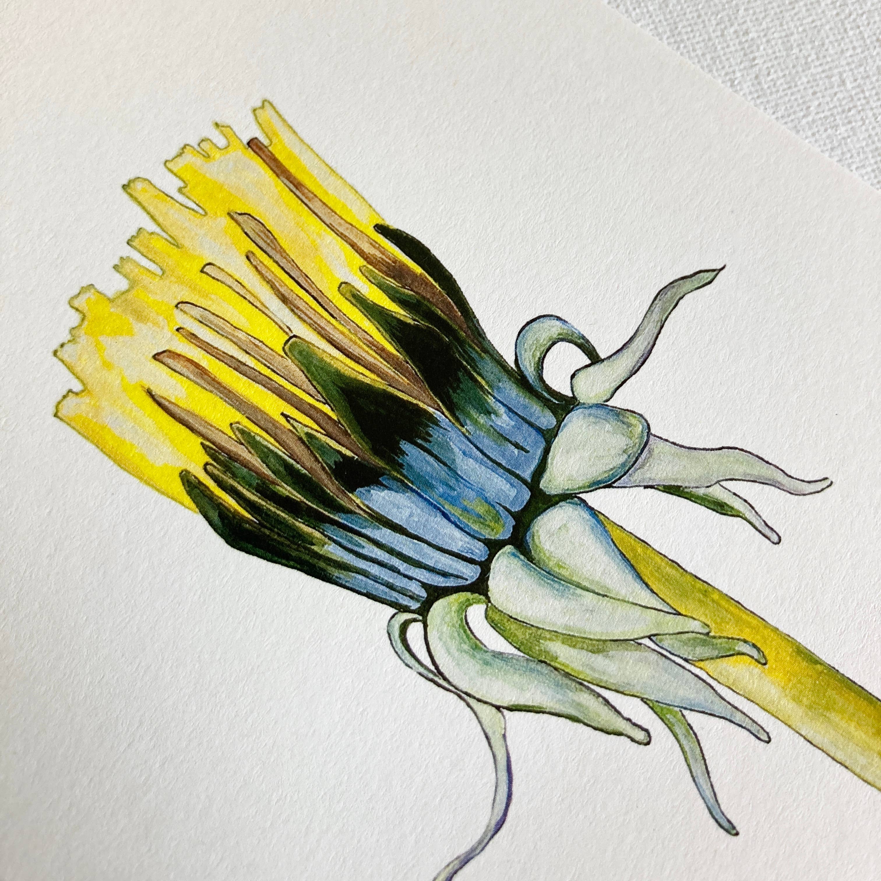 Irene Akio – wholesale Everyday greeting card – Dandelion Card1