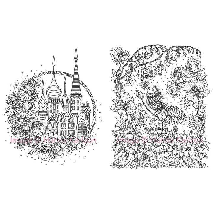 Gibbs Smith - Wholesale Coloring Book - Adult - Magical Dawn Coloring Book