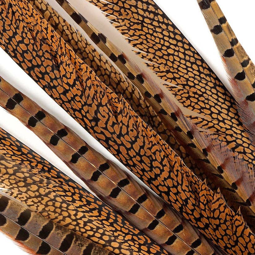 Zucker Feather Products - Wholesale Feathers - Pheasant Tails Assorted Natural -16-30"2