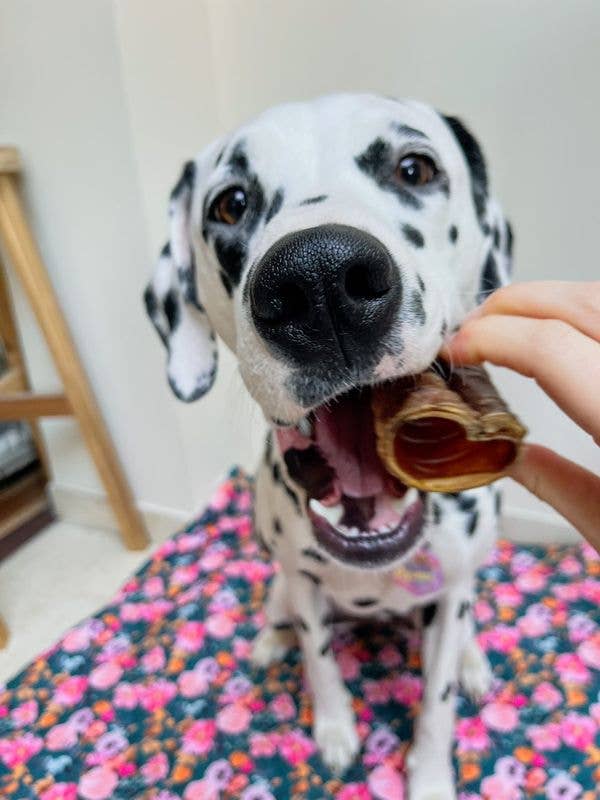 Kivo Petfood - Wholesale Pet Treats - Dog - Dog Snack - Sawn Beef Trachea - 500g2