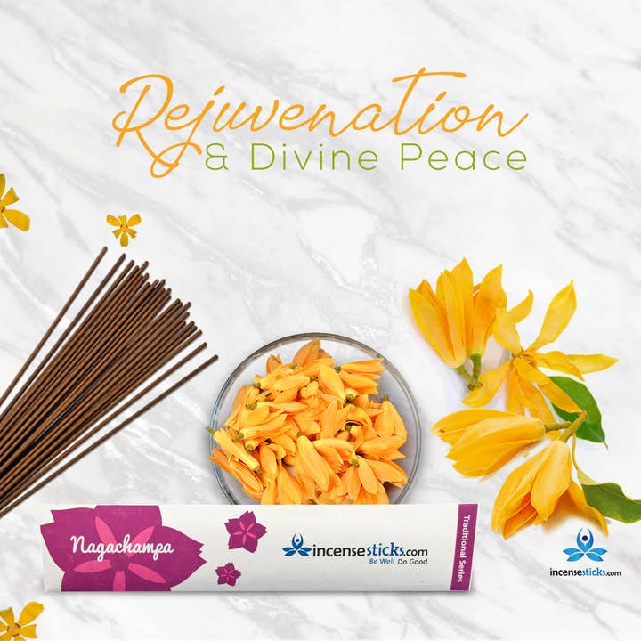 Nagachampa Incense 8" 10 Sticks for wholesale by Incense Sticks