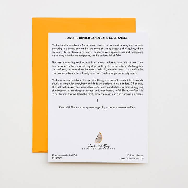 Central & Gus – Conjunto de notas por atacado – Cartão de nota Archie Jupiter Candycane Corn Snake1