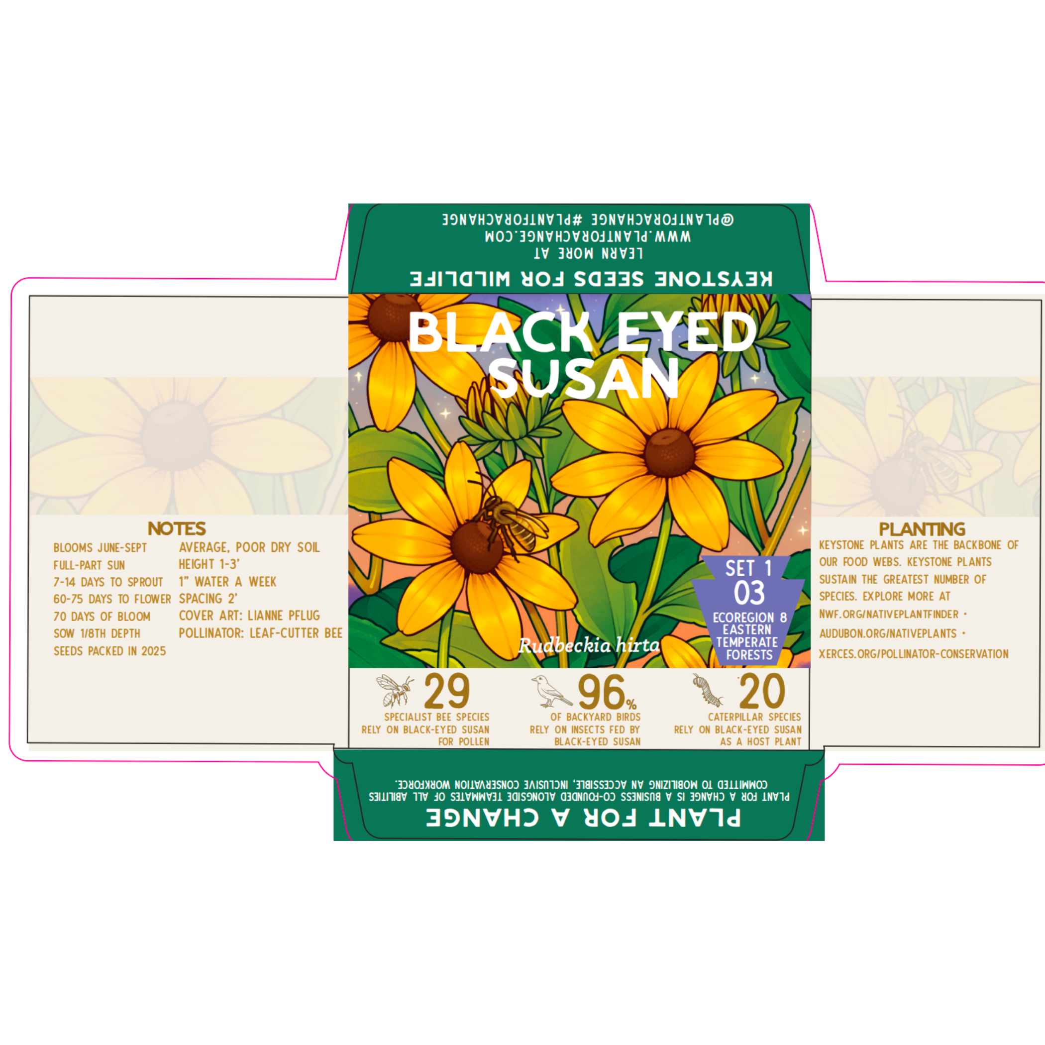 Plant for a Change - Vendita all'ingrosso Semi di piante - Confezione di Carta Asclepiade Tuberosa2