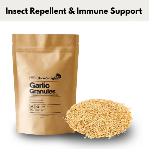 Grânulos de alho por atacado de Horse Straights Direct