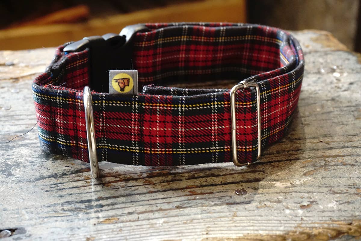 hundsfutter - Wholesale Pet Collar - Dog - Collar, leash, and bag holder set.1