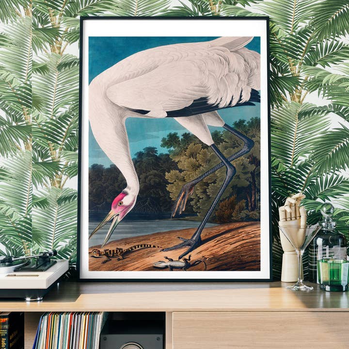 whooping crane vintage print 2 for wholesale by Ink & Drop