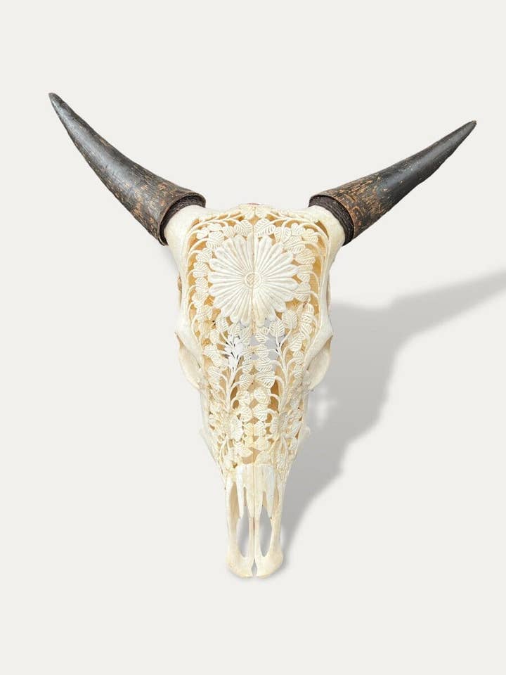Crâne de vache sculpté - Sapi pour la vente par Cokoha