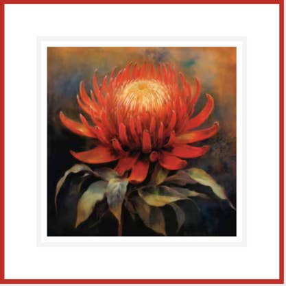 ikonink - Wholesale Everyday greeting card - Waratah Card