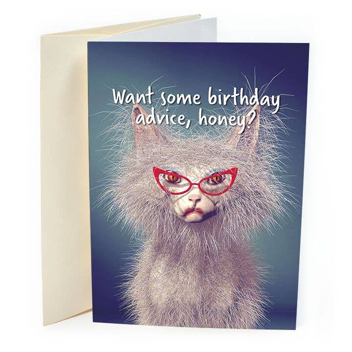 St Thomas Greetings – Großhandel Geburtstagskarten – Lustige Katze Geburtstagskarte