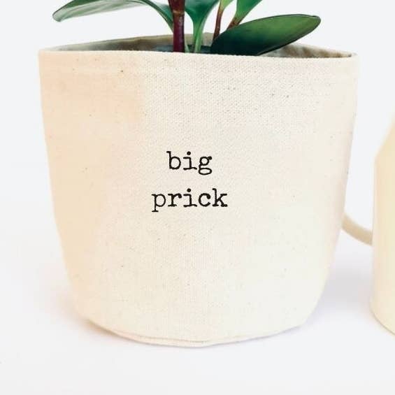 Big Prick Canvas Plant Pot Cover for wholesale by Leaf and Root Co.