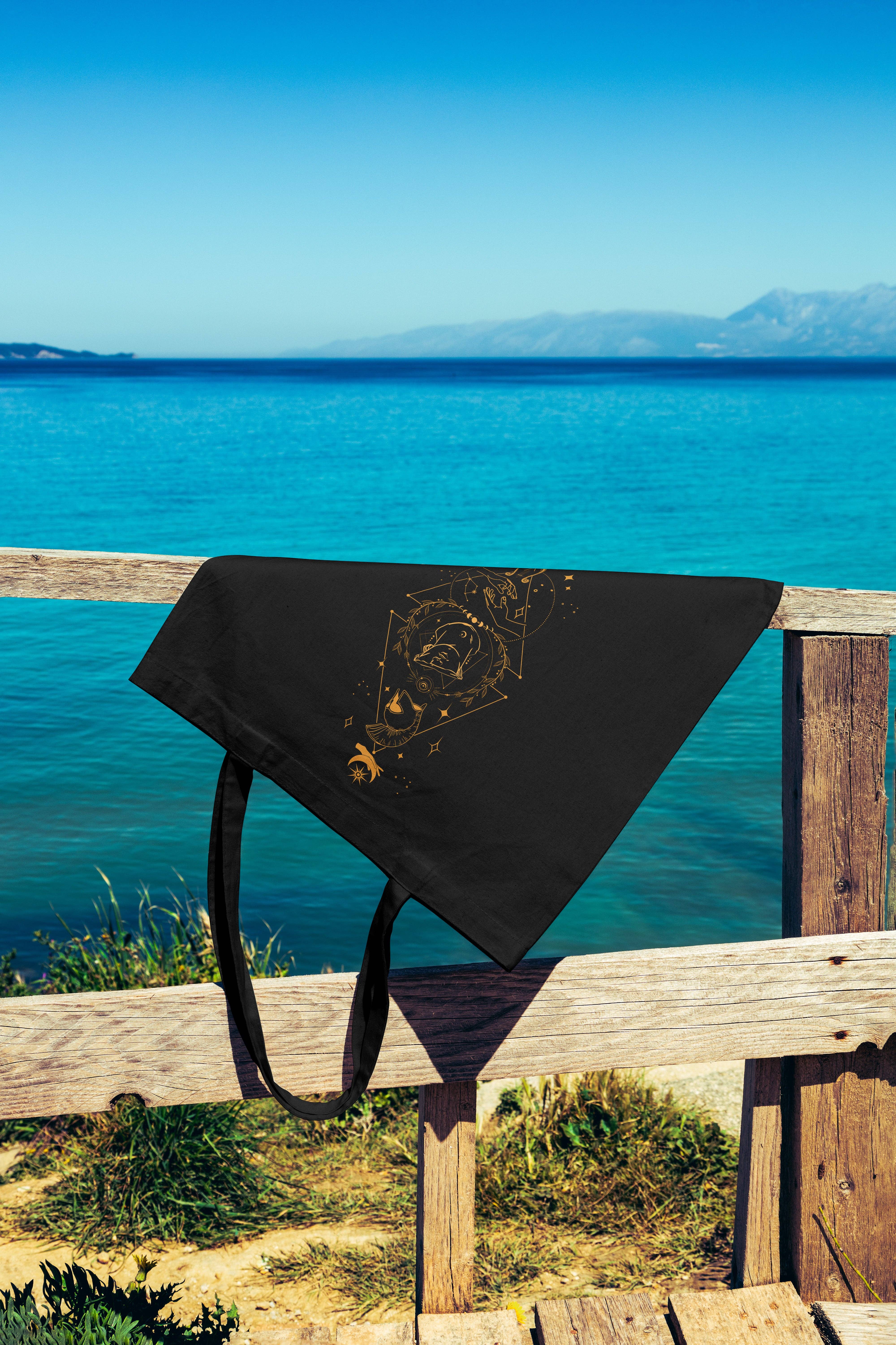 MagicMerchEmporium - Wholesale Tote bag – Unisex - Song of Achilles Tote Bag3