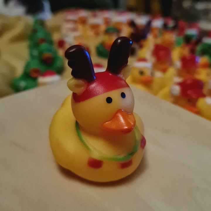 Dukki Gifts - Wholesale Bath toy – Baby - Christmas Character Rubber Ducks14