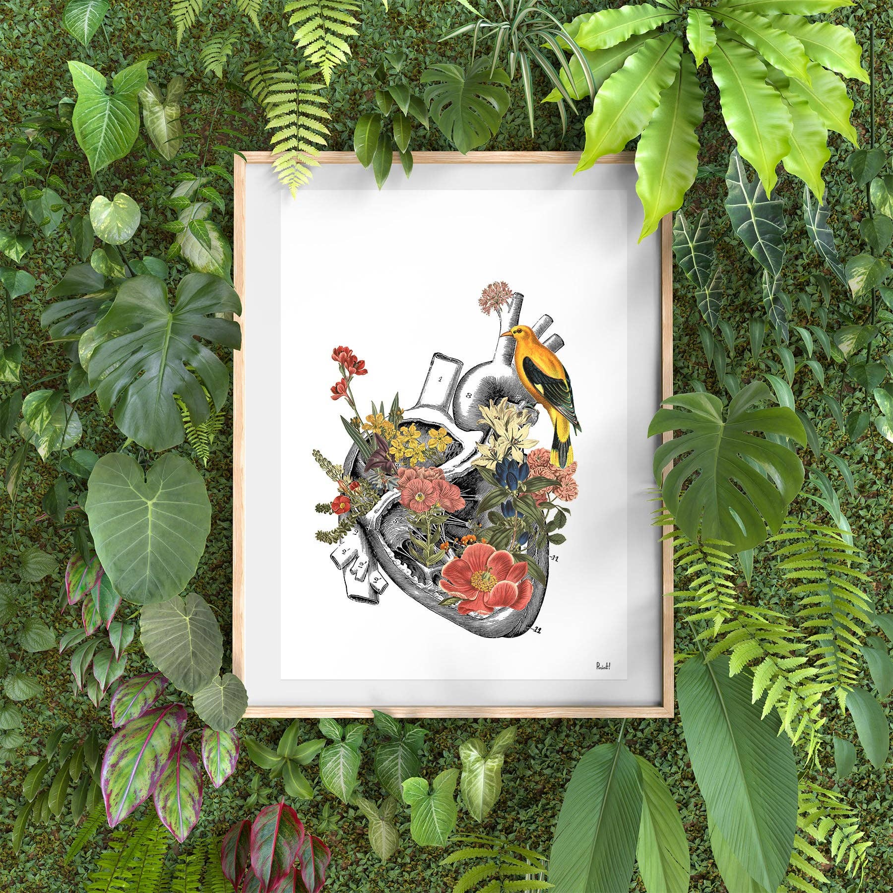PRRINT! - Vente Affiche d'art - Imprimé cœur anatomique1