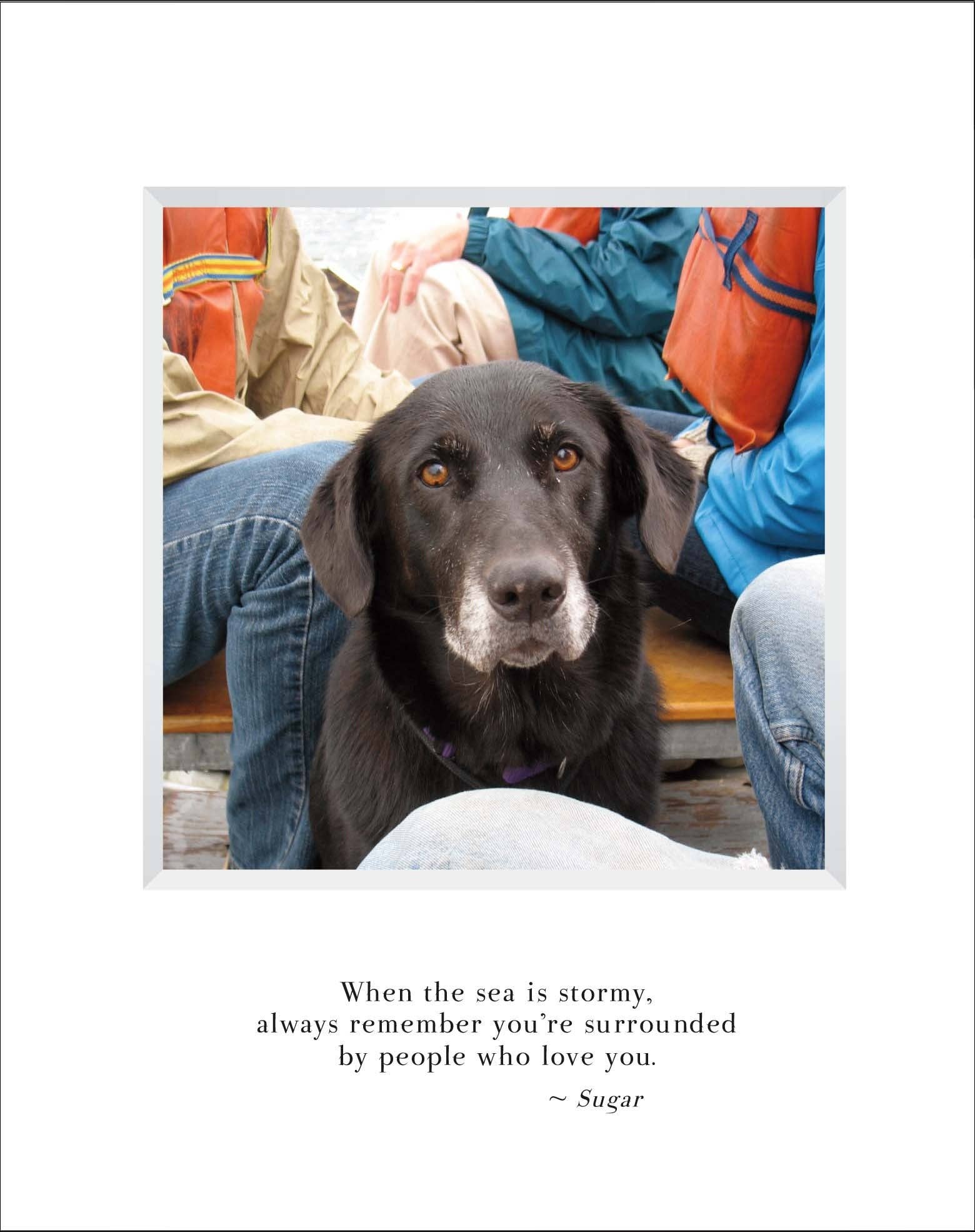 Stonehenge Designs - Wholesale Encouragement Card - A802 - Sailing Sugar0