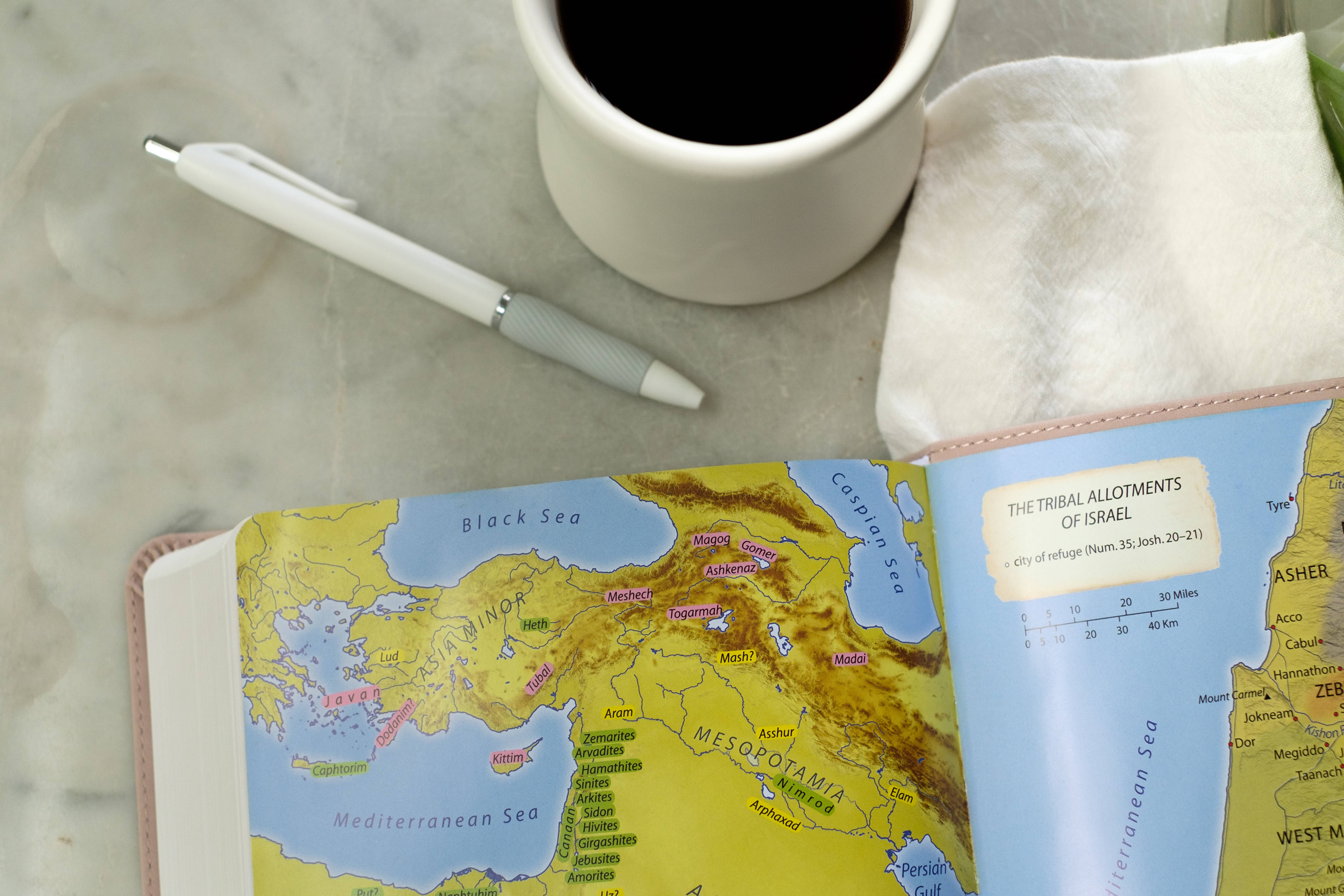 Barbour Publishing, Inc. - Wholesale Religion - Light for Life NASB Study Bible (Blush Bouquet)13