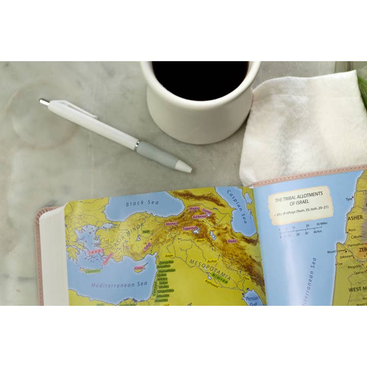 Barbour Publishing, Inc. - Wholesale Religion Book - Light for Life NASB Study Bible (Blush Bouquet)13