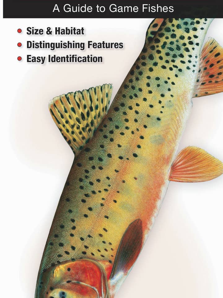 Poissons d'eau douce du sud des Rocheuses pour la vente par Quick Reference Publishing, Inc