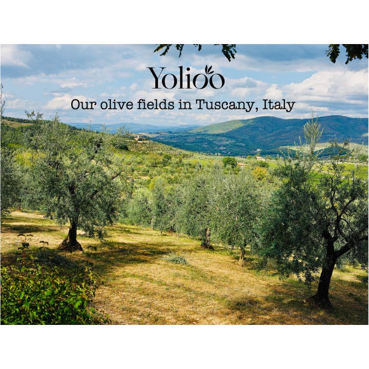 Yolioo – wholesale Olive oil – Amedeo