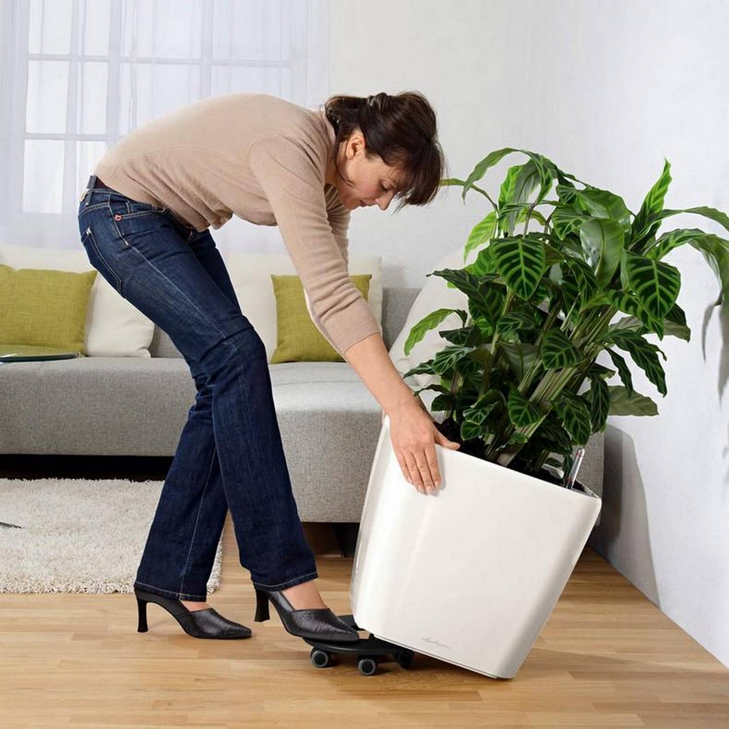 Lechuza Self Watering Planters - Vendita all'ingrosso Vasi per piante - Fioriera quadrata LECHUZA QUADRO LS Poly Resin25