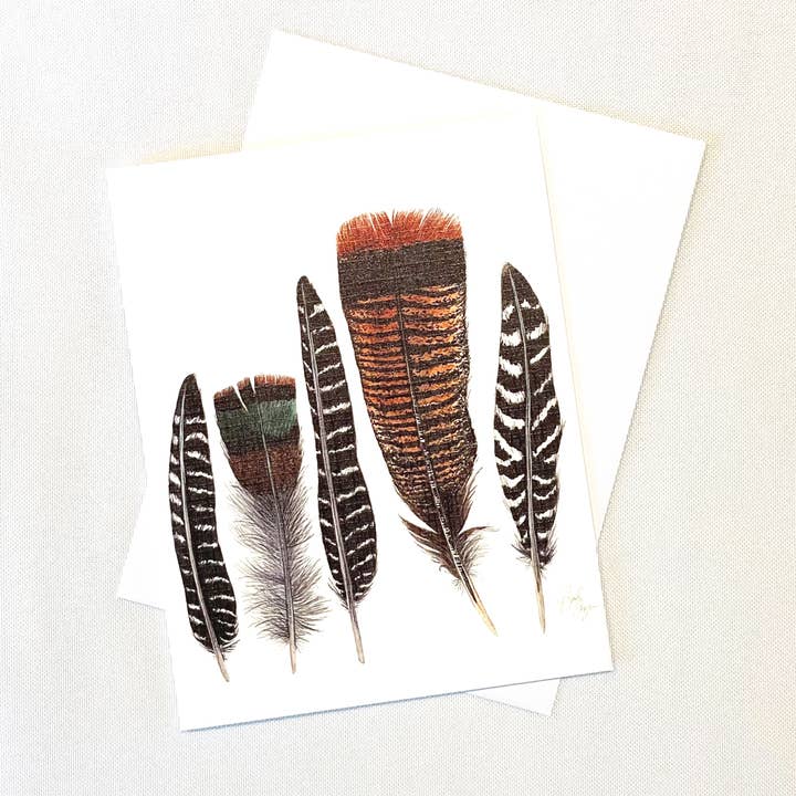 Tarjeta de notas Turkey Feather para venta al por mayor de Broad Bloom