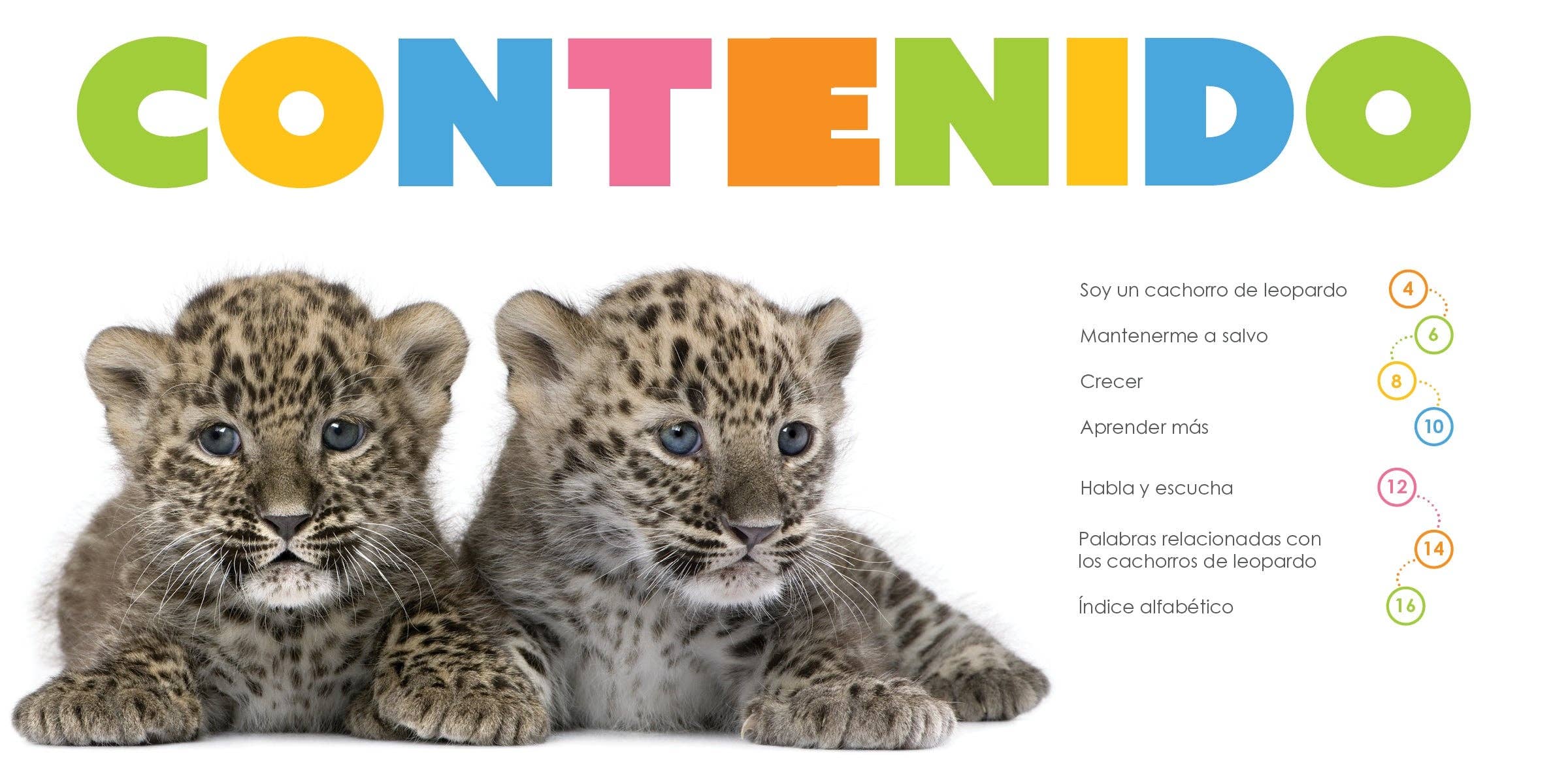 The Creative Company – wholesale Bok för unga läsare (6–8) – Leopardungar1