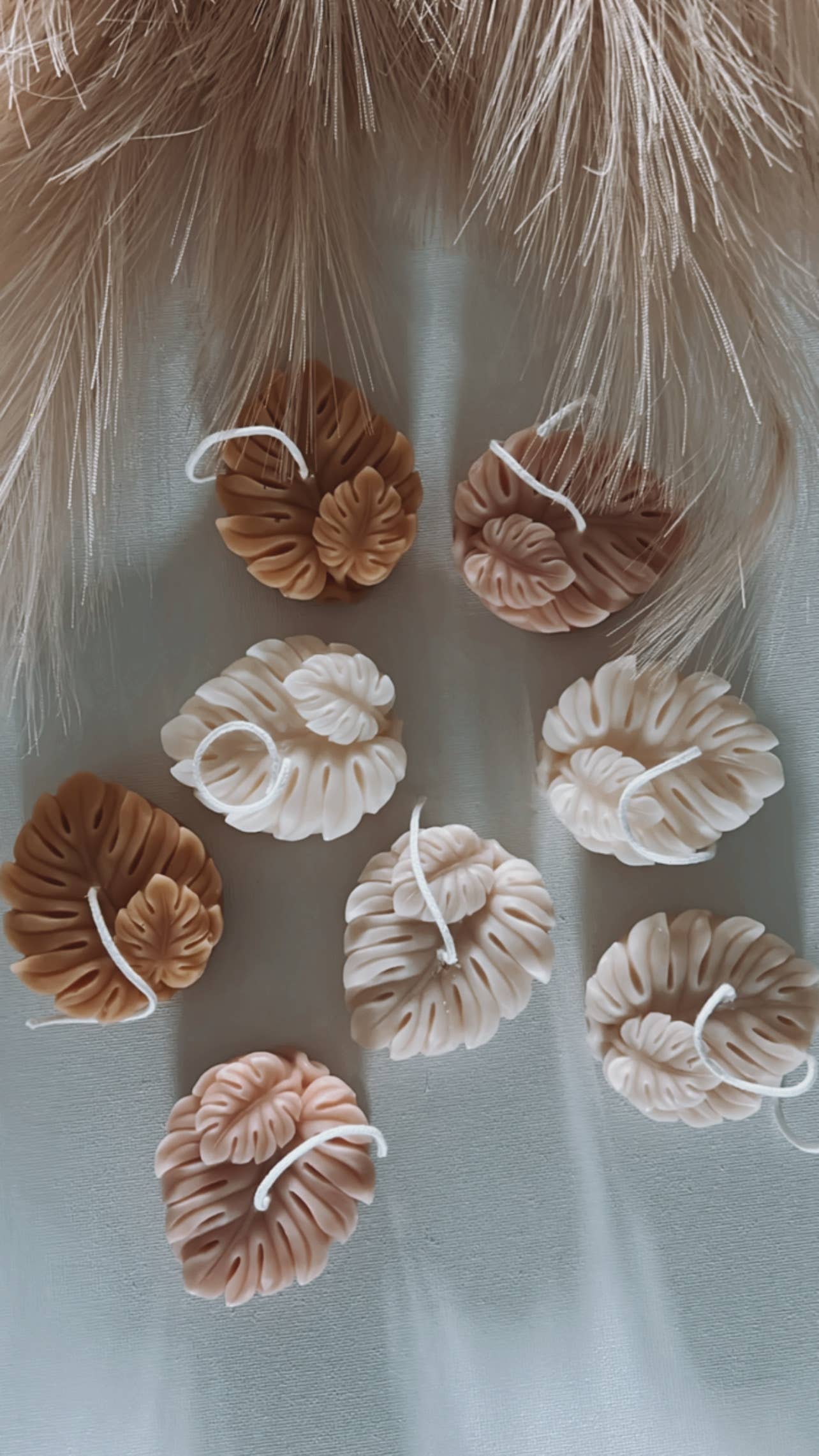 Dusty Rose Bodega - Vente Bougies originales - Feuille de MONSTERA | bougie chauffe-plat [deux]5