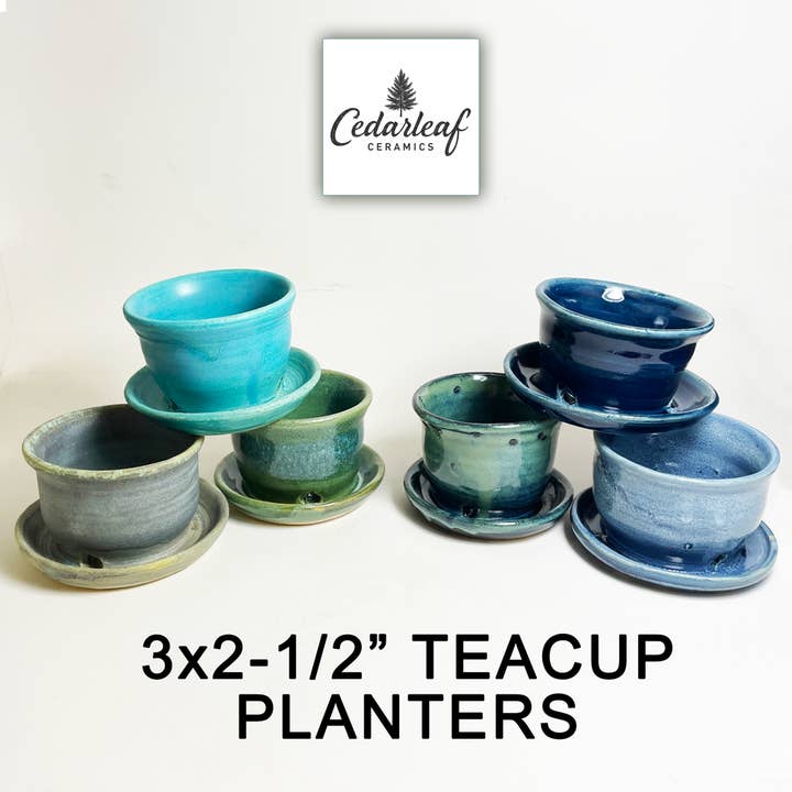 3x2-1/2" Tea Cup Planters Pot w Drain Tray Ceramic Plant Cup for wholesale by Cedarleaf Ceramics