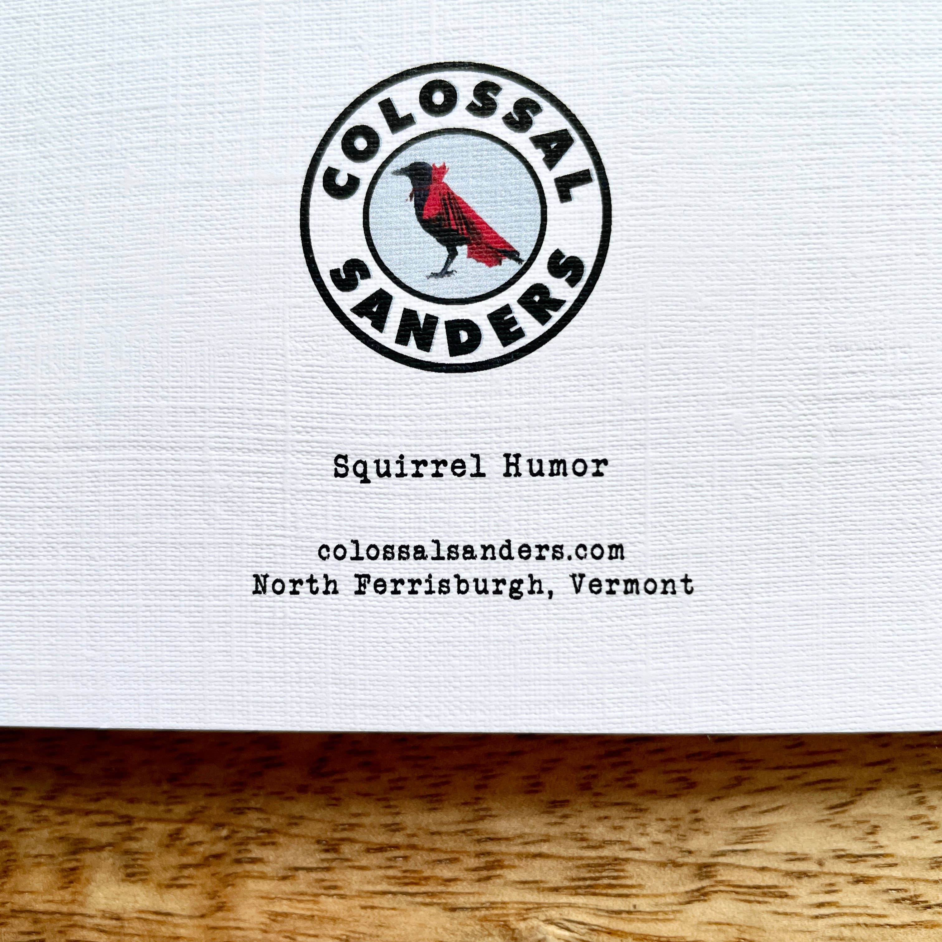 Colossal Sanders - Wholesale Birthday Card - Squirrel Birthday card (What's the Deal?) funny animal greet2