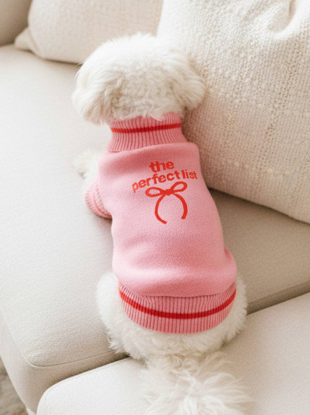 Good Thomas – wholesale Pet jumper – Dog – The Perfect List1