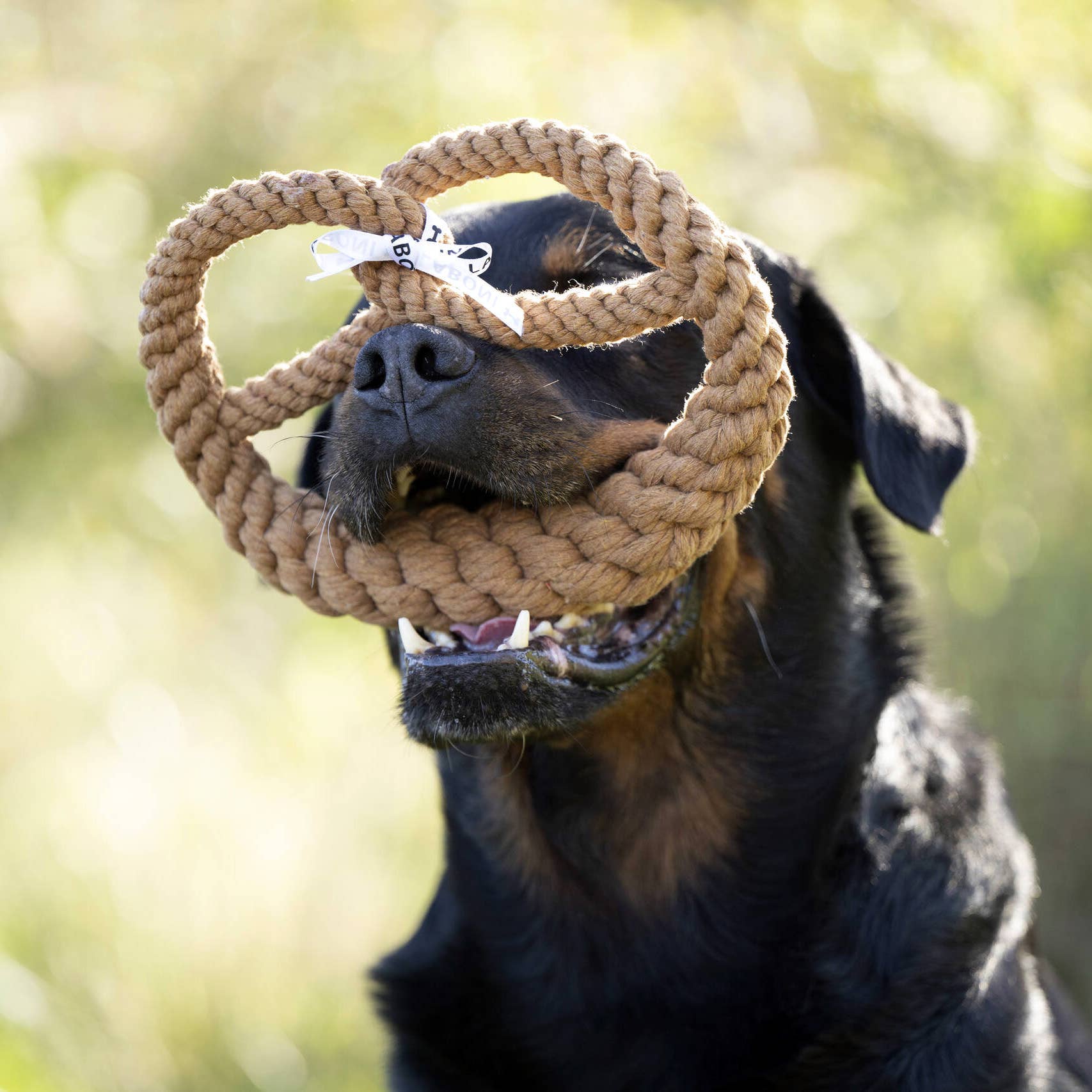 LABONI - Volentis GmbH - Wholesale Pet Rope Toy - Dog - BRITTA BREZEL – Iconic Shape, Smart Play6