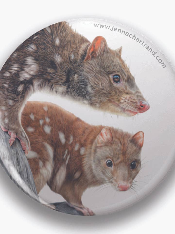 "Quality Time" Spotted Quolls 44mm Round Magnet for wholesale by Jenna Chartrand Coloured Pencil Fine Artist