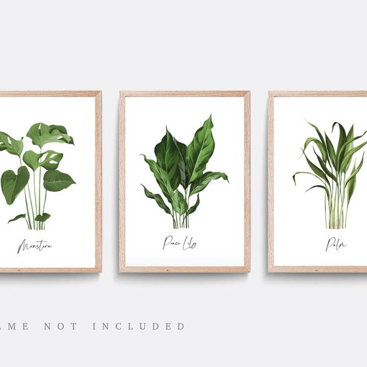 Set of x3 Plant and Botanical Prints | Set of Three Pri-139 for wholesale by Love Flora Studio