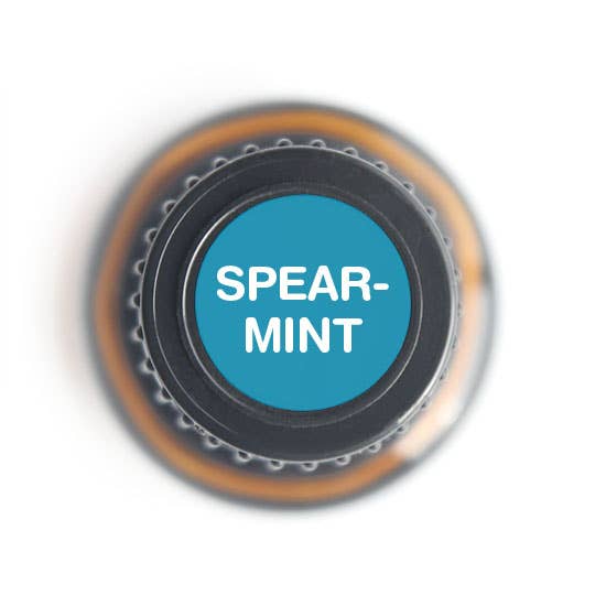 Nature's Fusions - Vendita all'ingrosso Olio essenziale - Olio essenziale di menta verde puro al 100% — 15 ml1