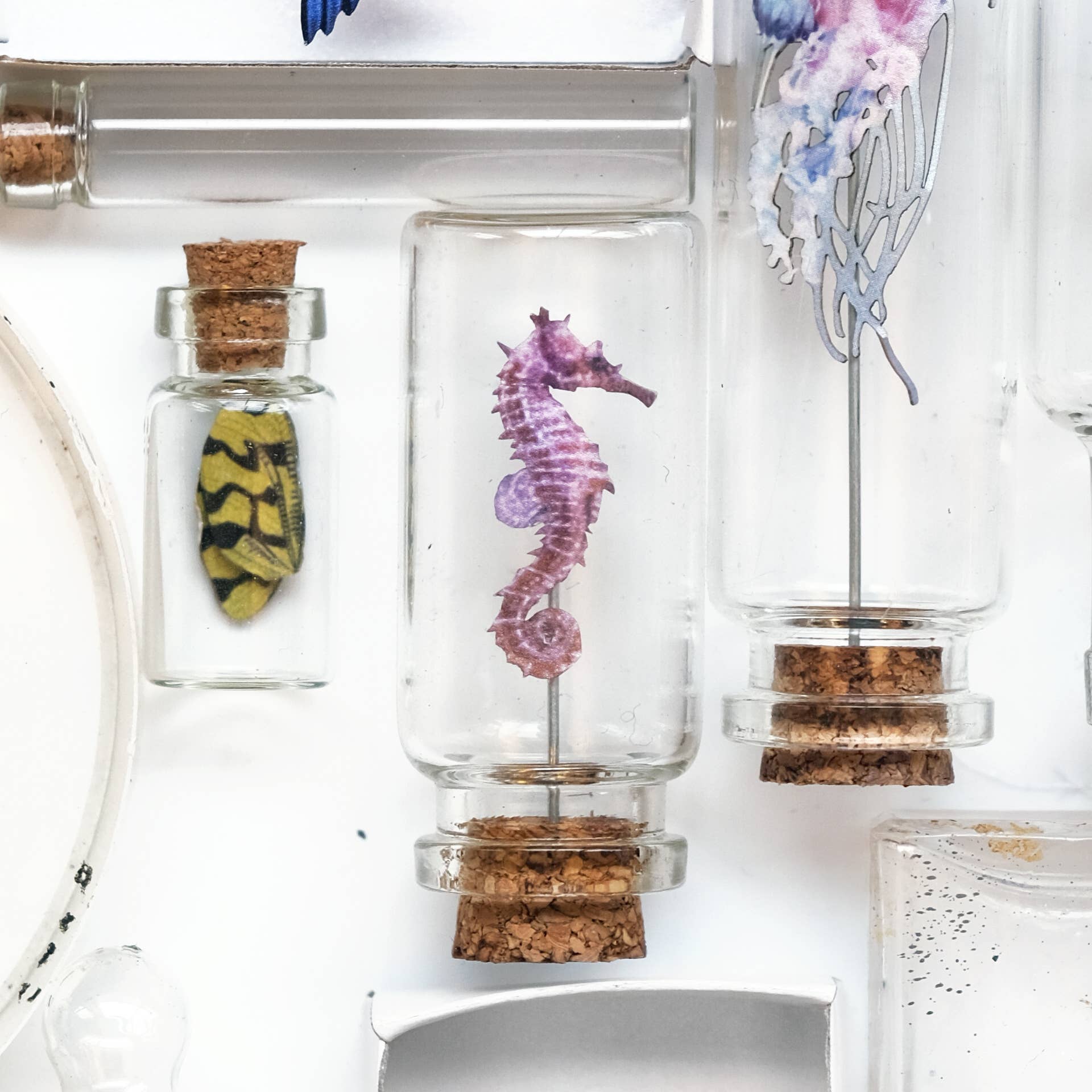 Moth and Myth - Wholesale Decorative Figurine - 'Biophilia' Micro Specimen Collection5