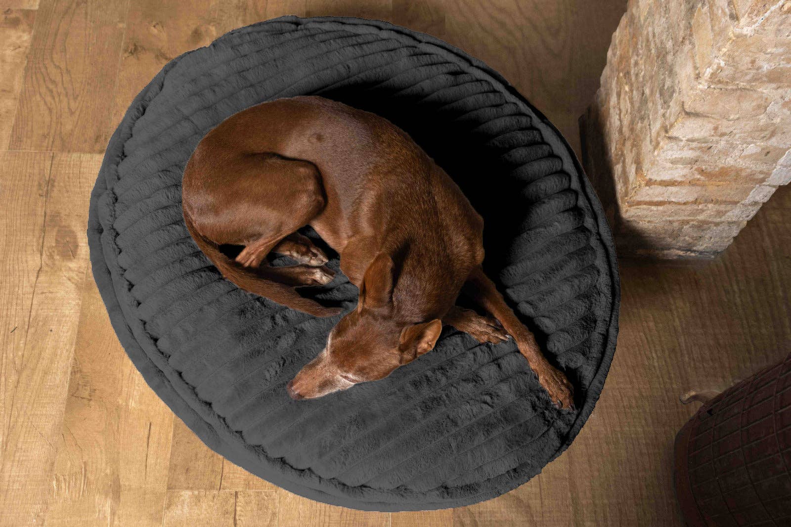 ammi for Dogs - Vente Panier – chien - Coussin pour chien Cama - intérieur en liège et extérieur en tissu douillet12