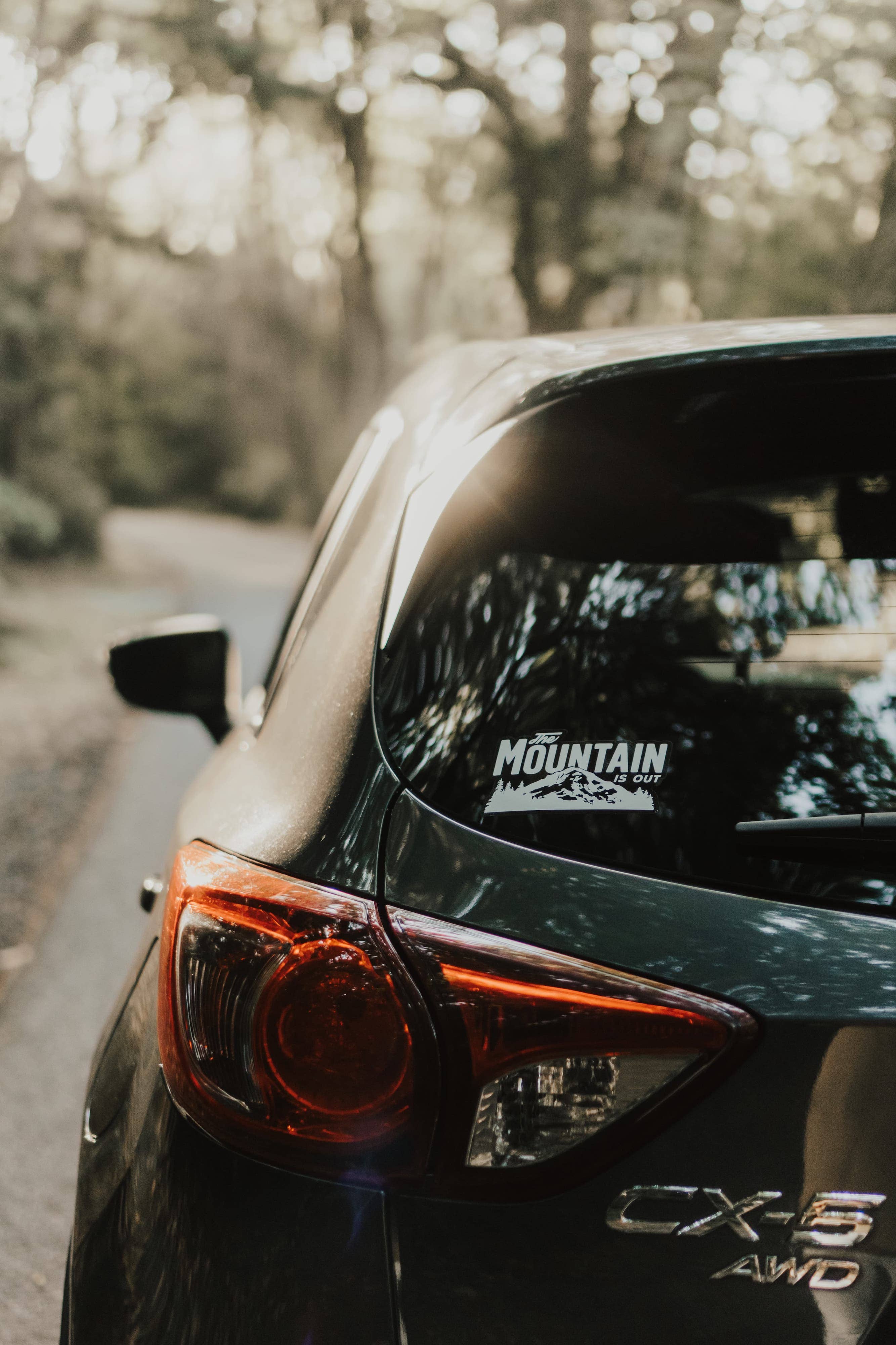 Rainier Watch Supply Co - Wholesale Sticker - The Mountain Is Out Sticker3