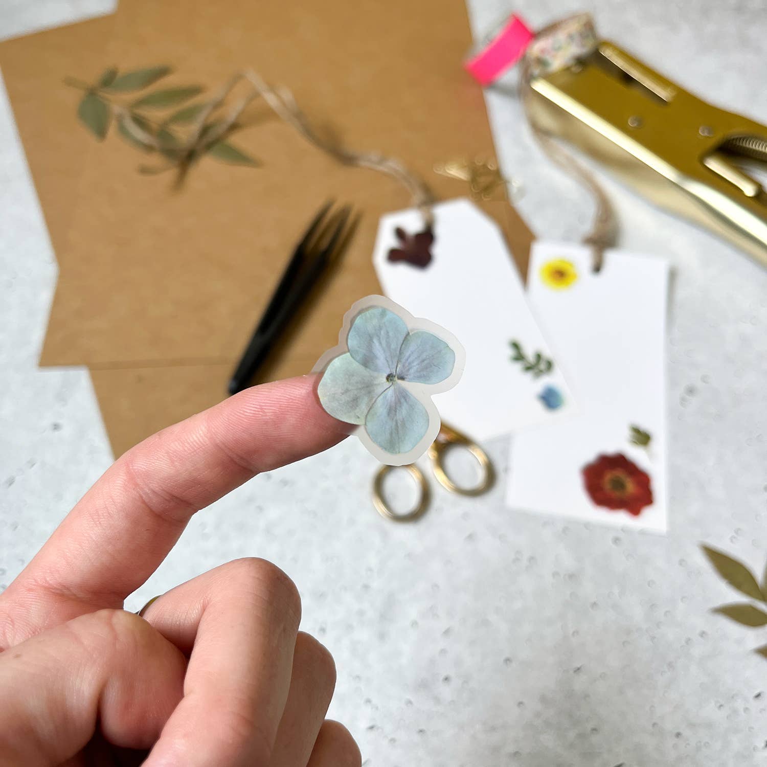 Botanopia USA - gifts , decor and cards for plant lovers - Wholesale Sticker - Pressed Flowers Sticker Sheet19