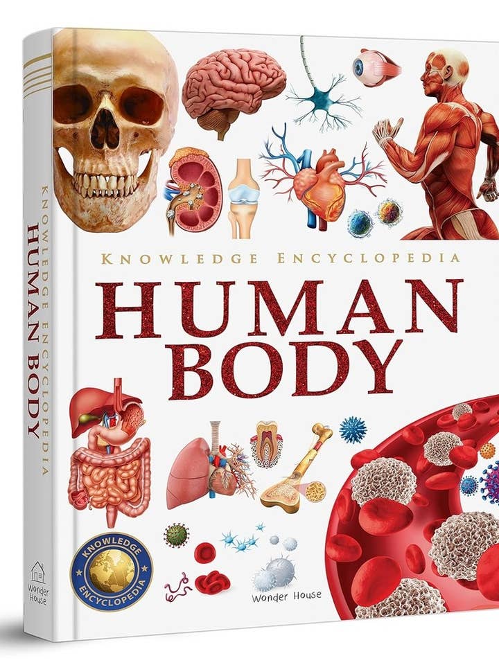 Knowledge Encyclopedia: Human Body for wholesale by Independent Publishers Group