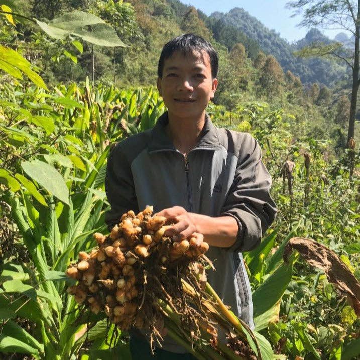 Burlap & Barrel - Wholesale Dried Spice - Buffalo Ginger - Single Origin Spice & Seasoning3