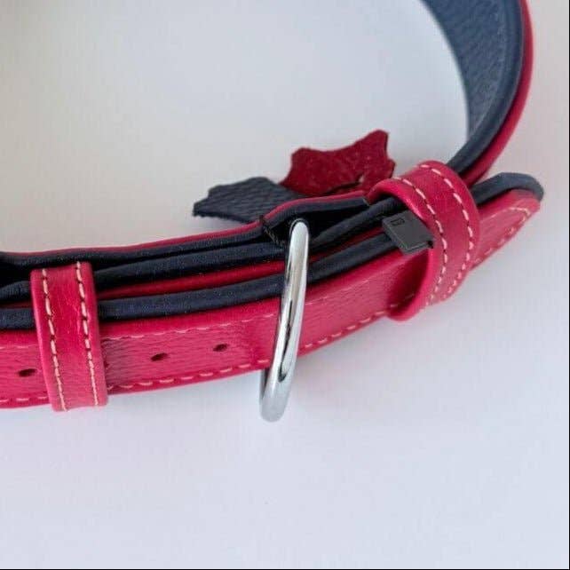 GAD Roots – Engroshandel Halsbånd - Hund – Premium polstret flyder læder hundehalsbånd – Rød & Marineblå2