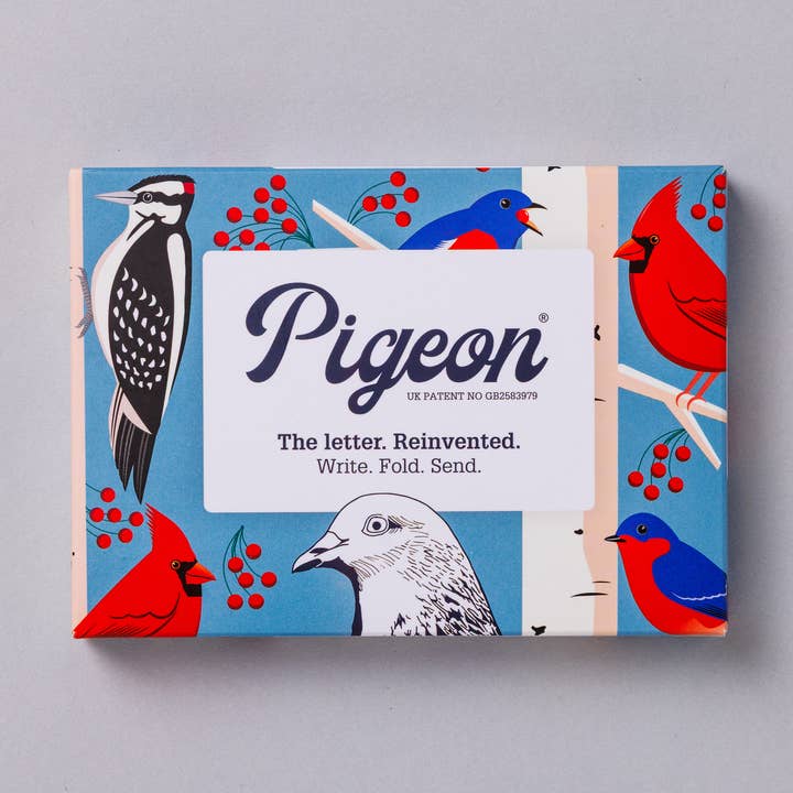 Carnival of Colour Stationery—Folding Letter Pack, pack of 6 for wholesale by pigeonposted