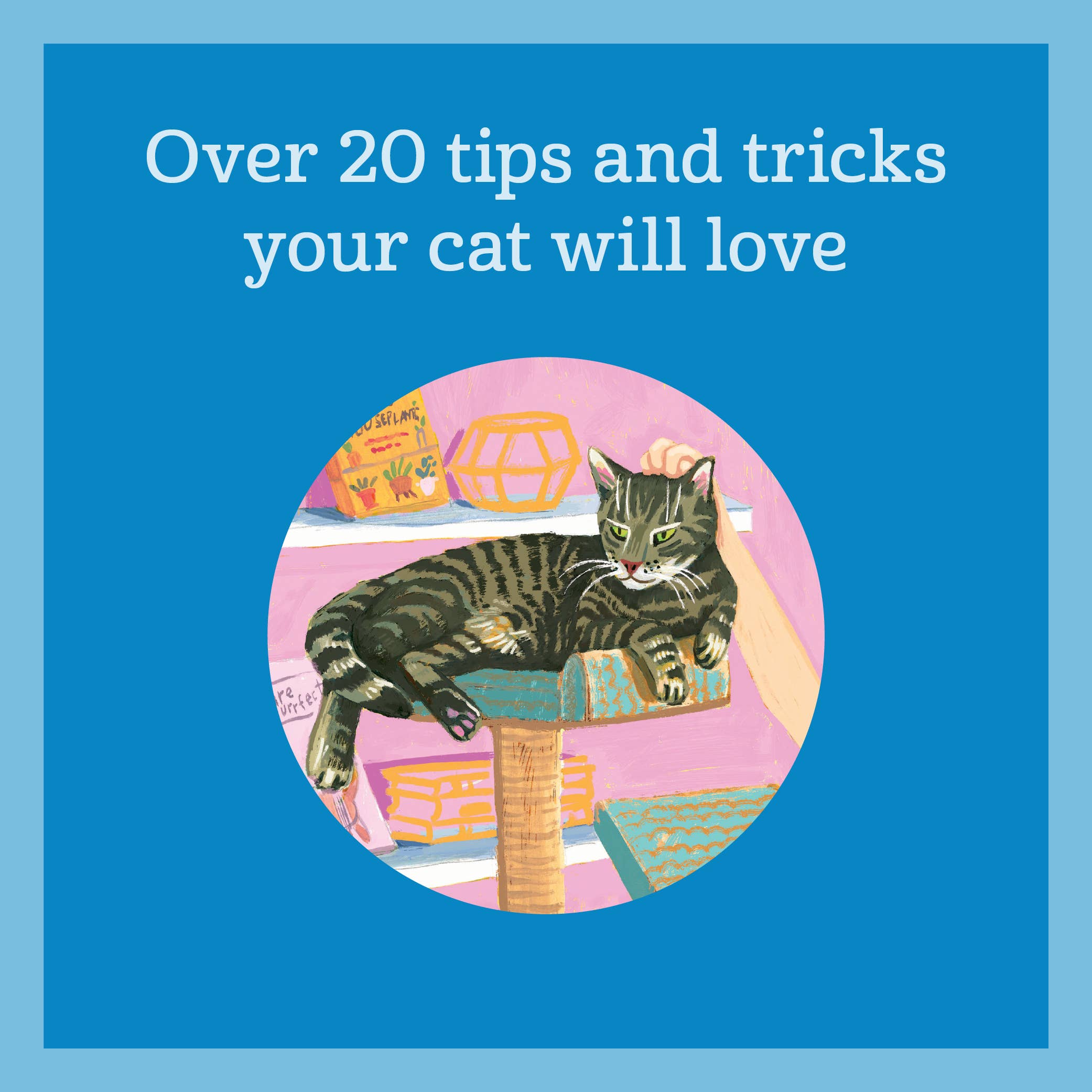Chronicle Books - Wholesale Pets - How to Pet a Cat2