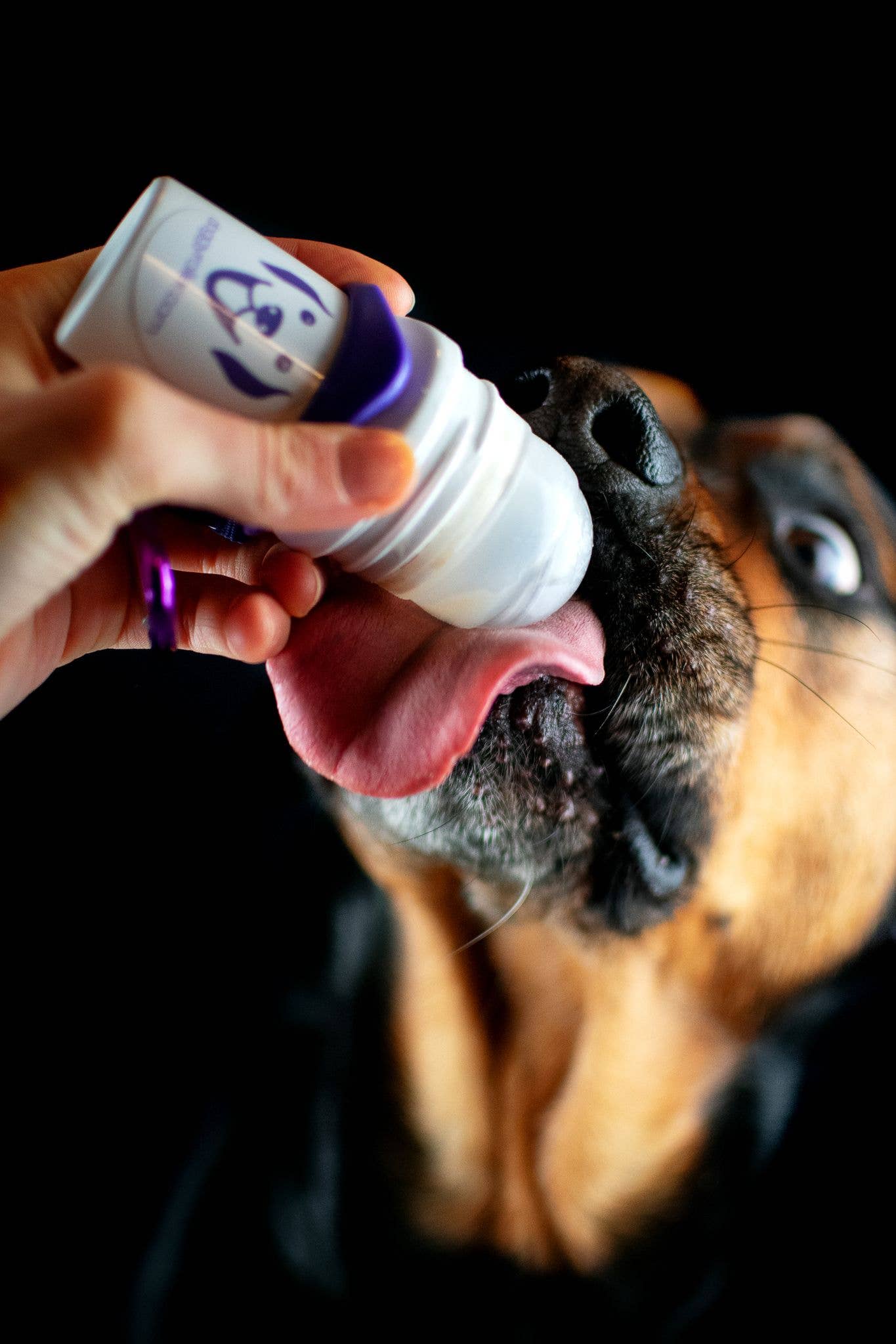 B&W Werbeartikel GmbH - Doggyroller - Wholesale Pet Treats - Dog - DOGGYROLLER pink - For liquid pet treats1