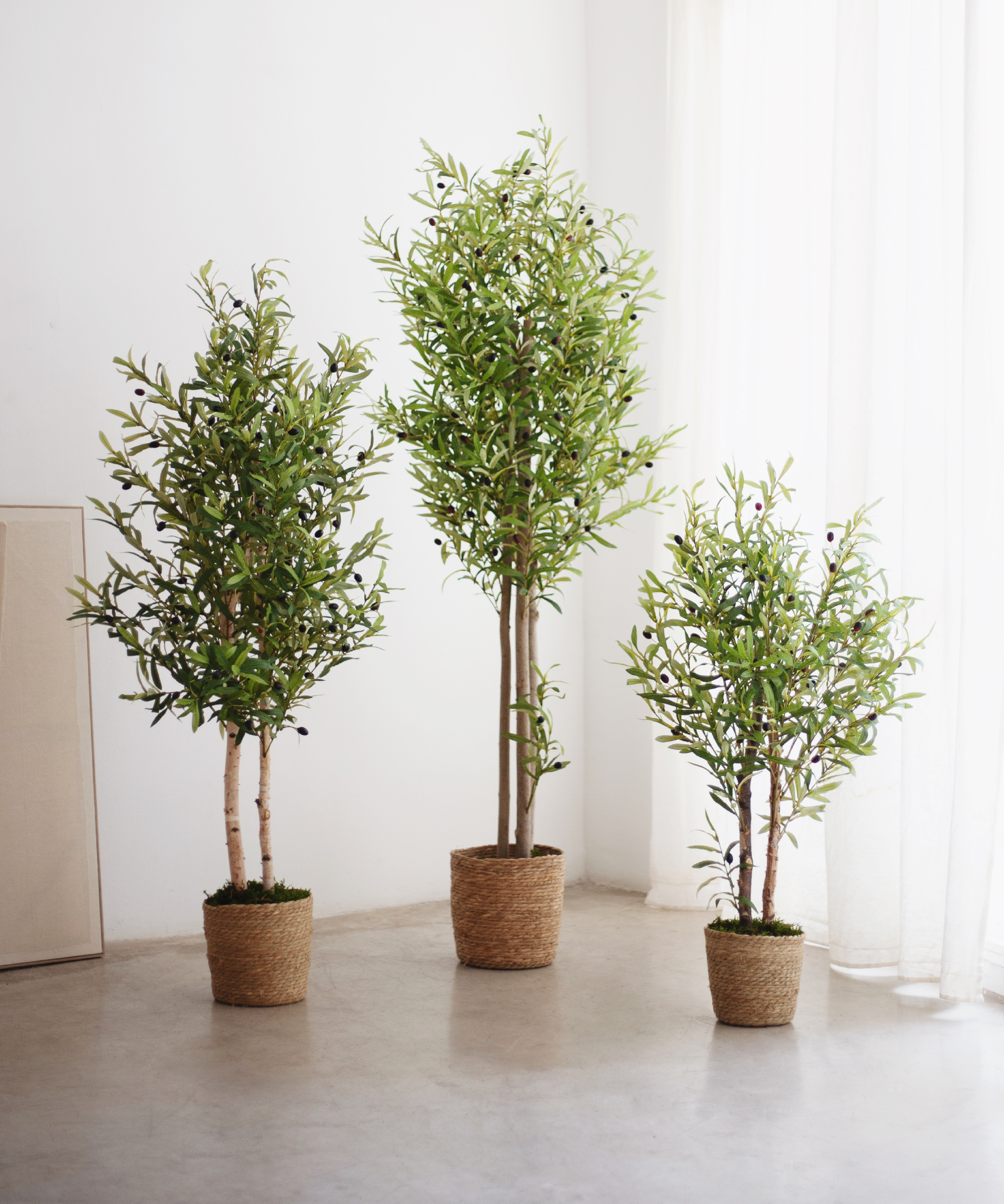 Maia Shop - Vente Plantes artificielles - Olivier Artificiel 180 cm6