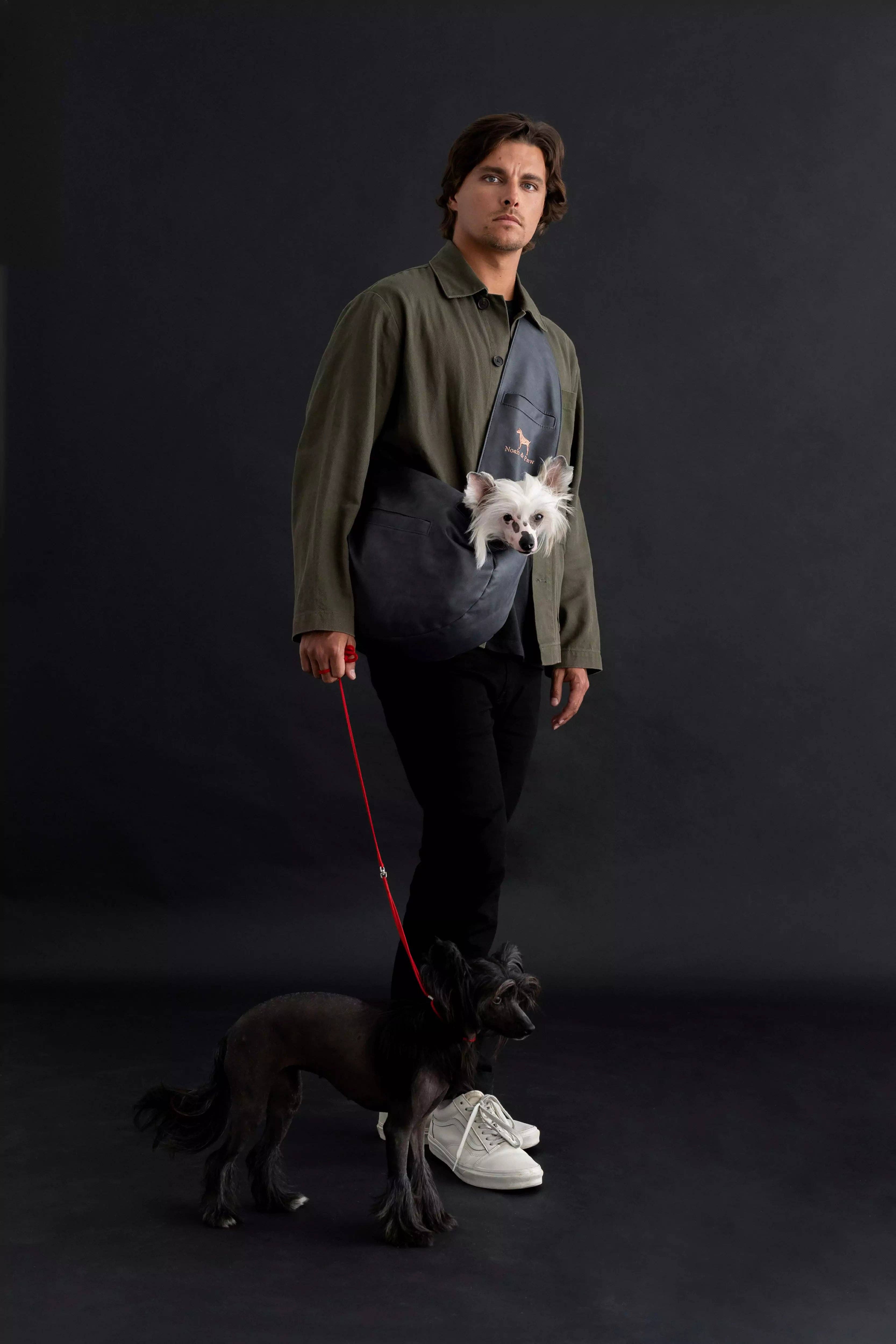 NOAH AND PAW LLC - Vente Caisse de transport – chat et chien - Porte-animal en bandoulière en cuir vegan avec triple sécurité1