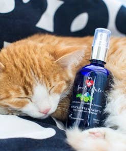 PerAnimal - Wholesale Pet Spray - Cat/Dog - SoulMate No.1 - Relaxation and Calming Spray2