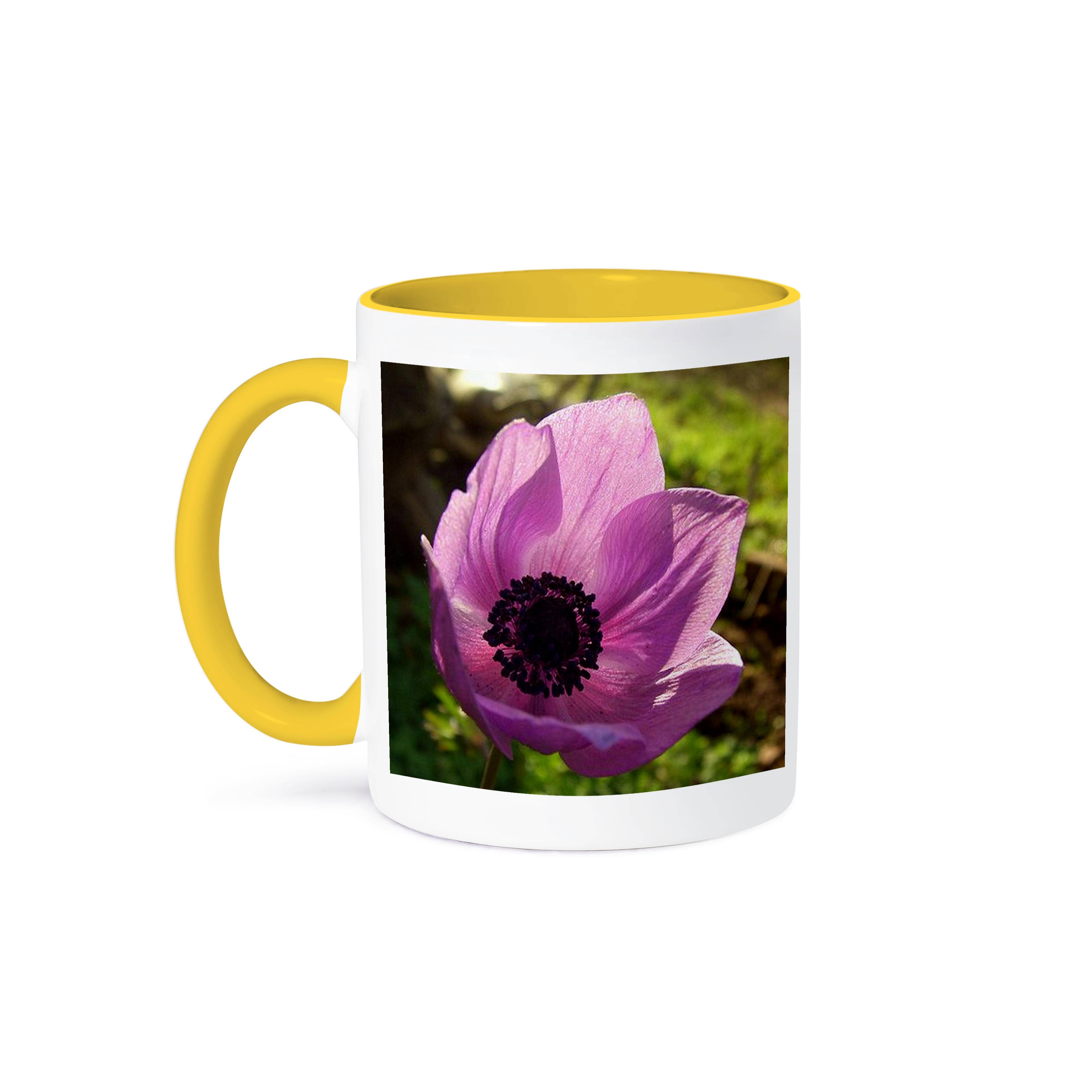 3dRose - Wholesale Coffee Mug - 3dRose, Anemone Coronaria - anemone coronaria, poppy anemone, spanish marigoldanemone, meadow anemone, Mug0