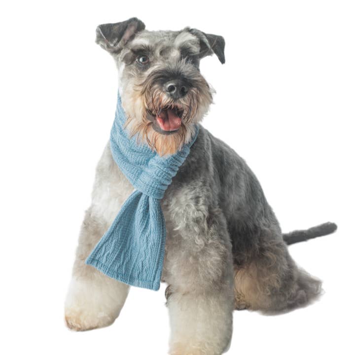 Sky Blue Cotton Blend Pet Scarf for wholesale by Wiwis