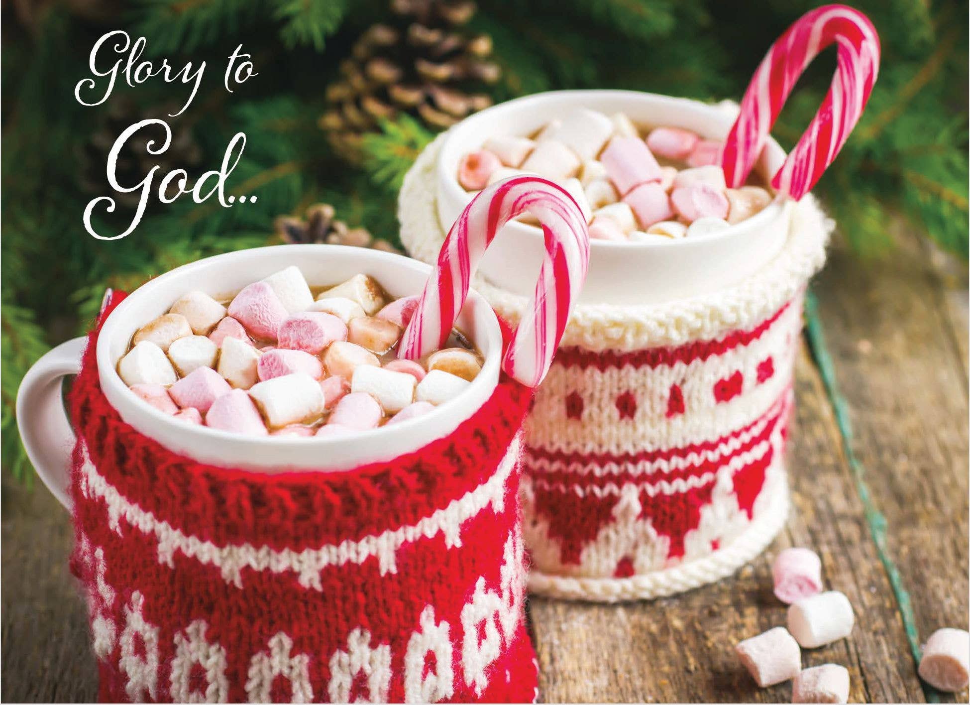 Crown Point Graphics - Vente Cartes de Noël - Cartes de Noël religieuses en boîte - Noël douillet KJV15