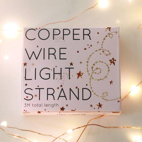 Lisa Angel - Wholesale String Lights - 30 Batter Led Copper Wire Lights - Not for sale to  EU2